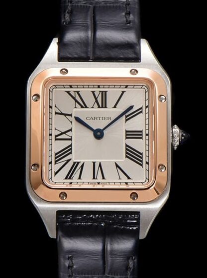 AAA Replica Cartier Santos W2SA0038 F1 Factory Mens Watch | aaafactory.io