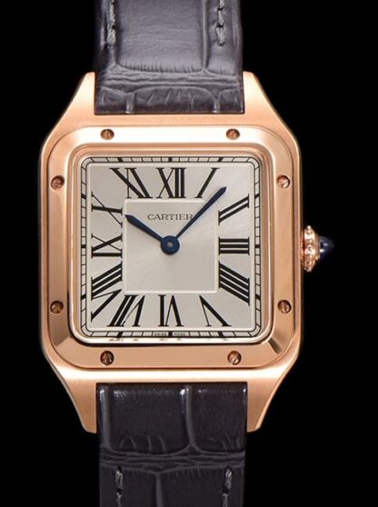 AAA Replica Cartier Santos WGSA0116 F1 Factory Mens Watch | aaafactory.io
