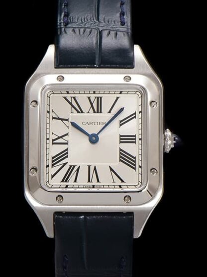 AAA Replica Cartier Santos WSSA0085 F1 Factory Mens Watch | aaafactory.io